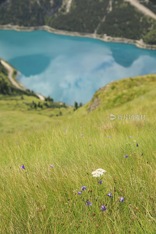 夏天的风景。从意大利北部Dolomites的Fedaia山口到Pordoi山口的休息点，可以看到美丽的Fedaia湖和马尔莫拉达山。