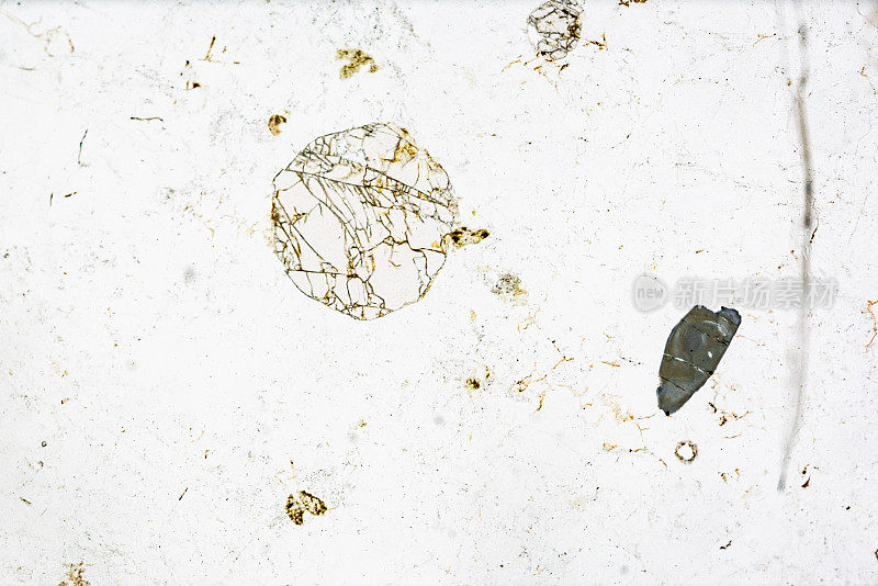 伟晶岩矿物显微镜在光镜下滑动