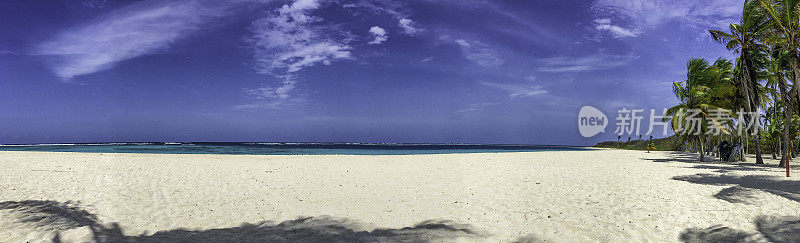 全景热带加勒比白沙岛海滩与棕榈树