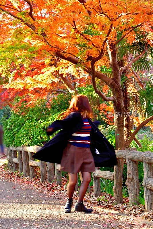 年轻的日本女人在彩色的枫树下旋转