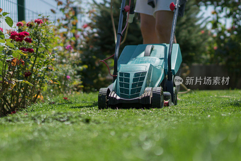 修剪草坪前院或后院的草坪