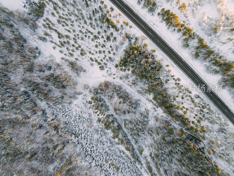 鸟瞰图的道路和森林在冬天的时间。来自空气的自然冬季景观。芬兰的风景从无人机