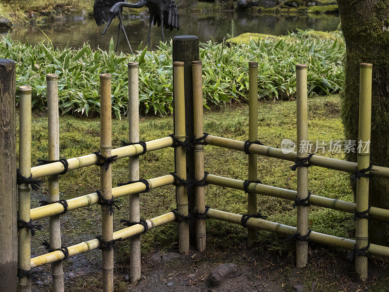 竹边绿色植物苔藓池塘波特兰日本花园俄勒冈州