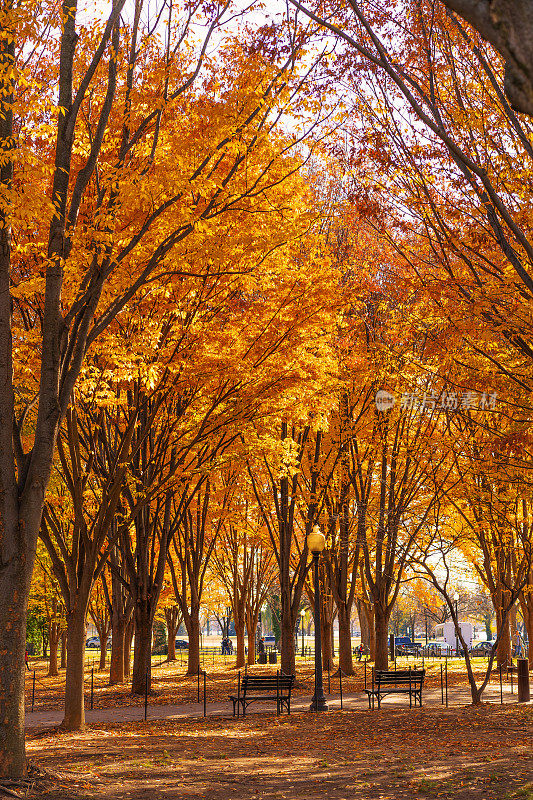 华美的华盛顿特区公园，靠近秋天的林肯纪念堂