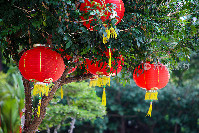 东南亚:马来西亚庆祝农历新年