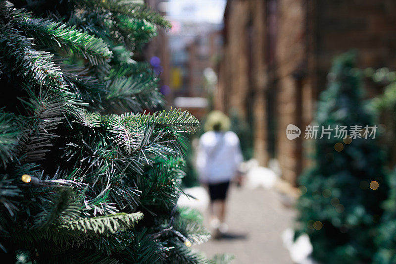 一个女人走在林荫道上。(把焦点放在前景。)