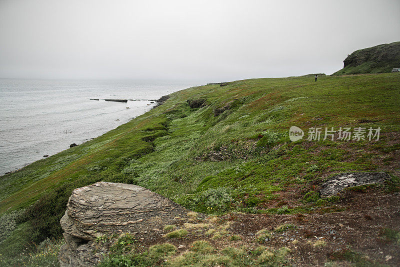 从青山到大海，一览无余