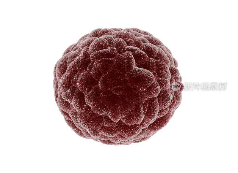 细胞群-孤立的癌细胞