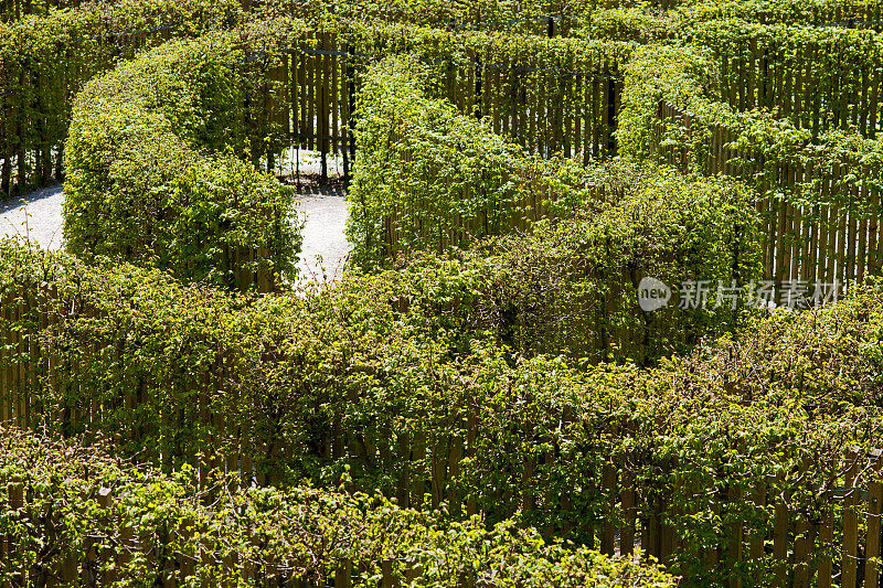 植物在公园里制造了迷宫