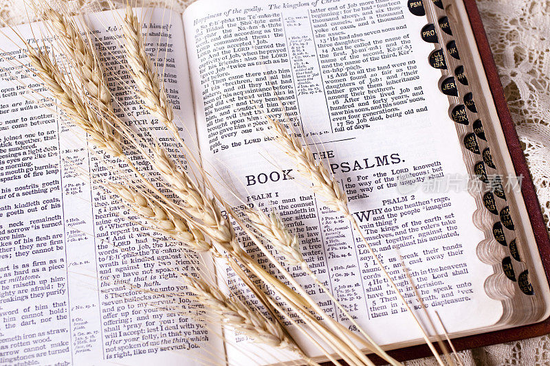 麦子和打开的圣经，生命的粮。