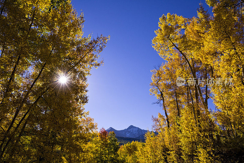 秋天的颜色圣胡安山脉