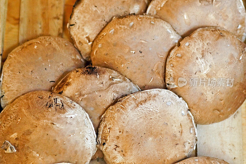 波多贝罗蘑菇