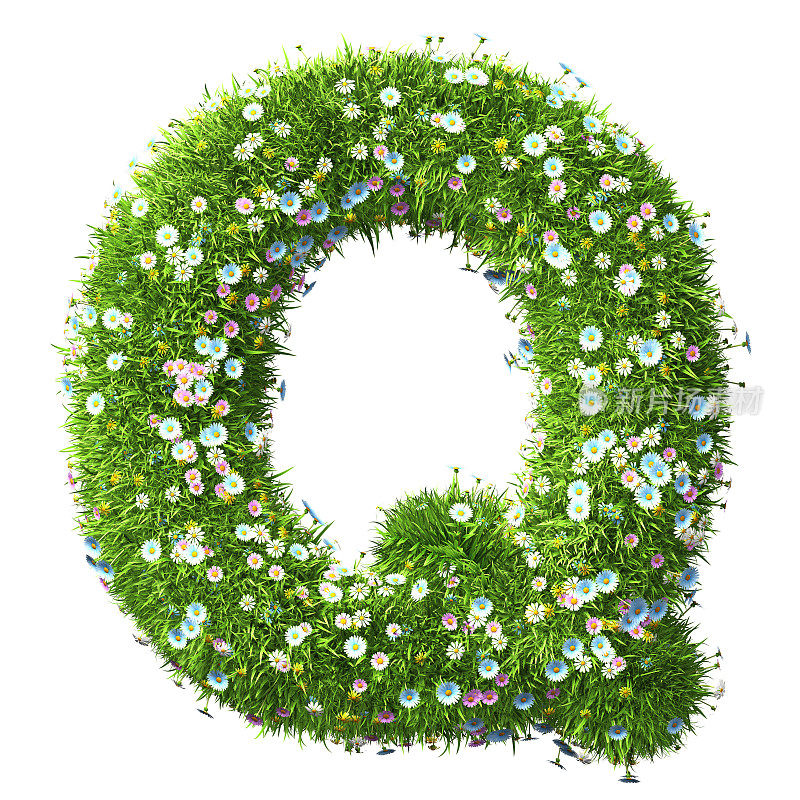 草和花的字母Q