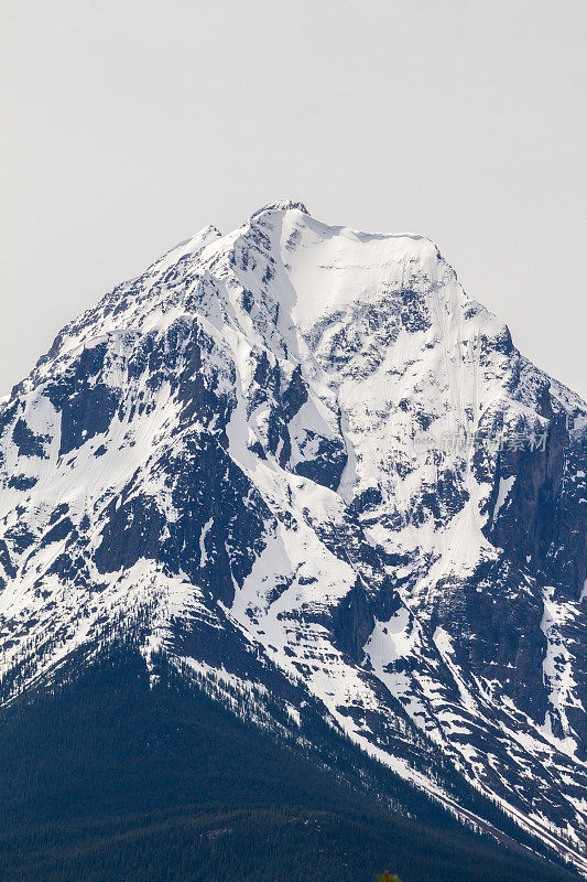 多雪的加拿大落基山峰