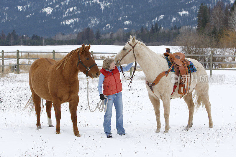 金发女孩和两匹马