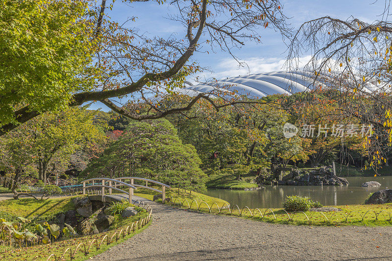 日本花园，东京，小石川园