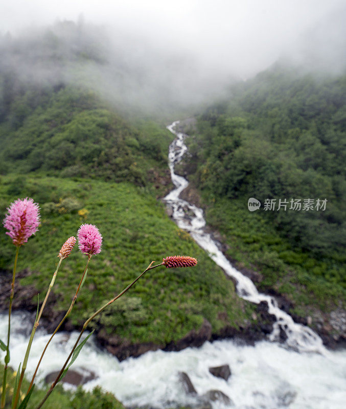 河山