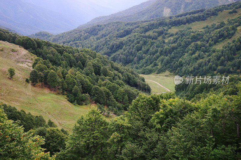 在阿布哈兹山区的道路