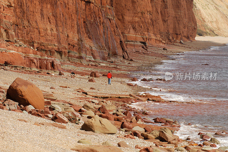 砂岩海岸线,德文郡