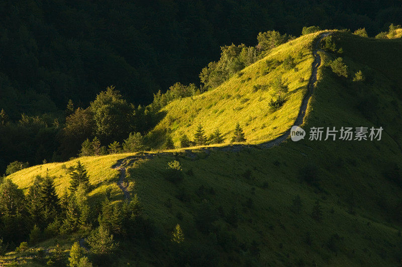 山顶上的小路