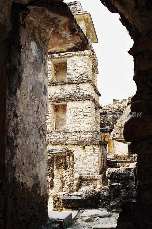 Palenque'的寺庙