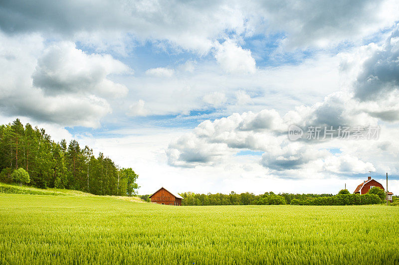 瑞典夏天的风景