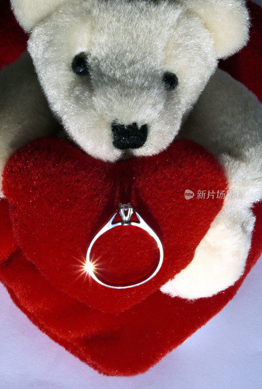 情人熊和戒指