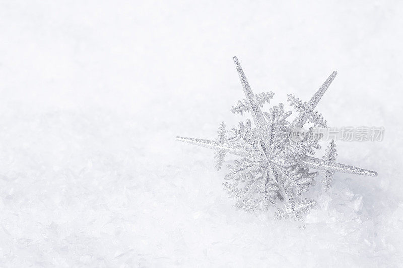 雪花里的雪花