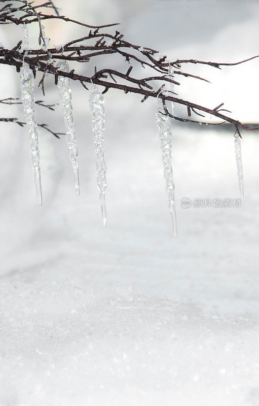 雪和冰背景与复制空间room_8