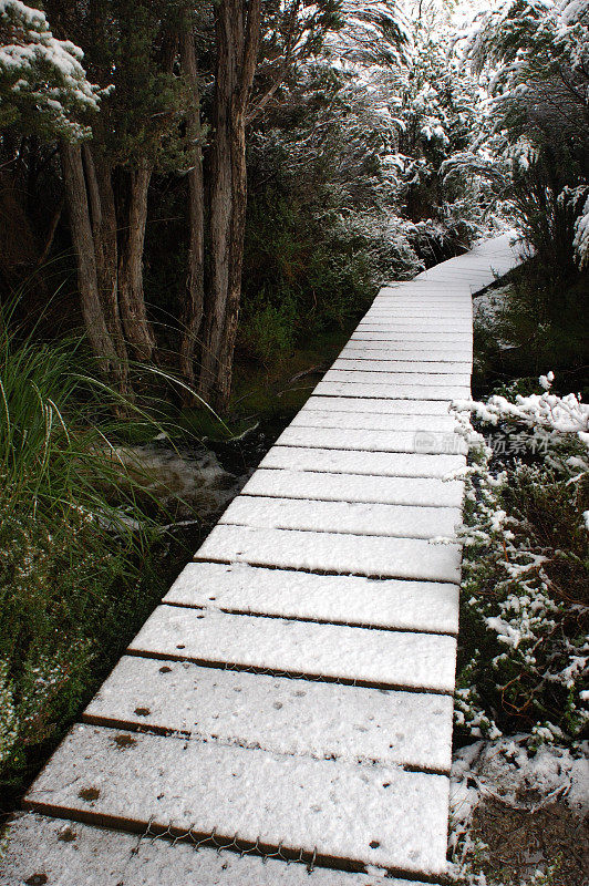 雪路