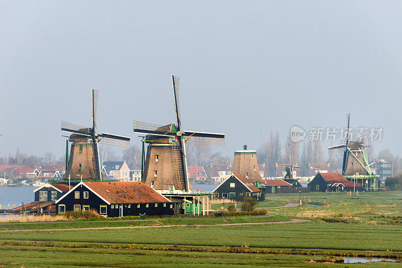 传统的荷兰风车在早晨