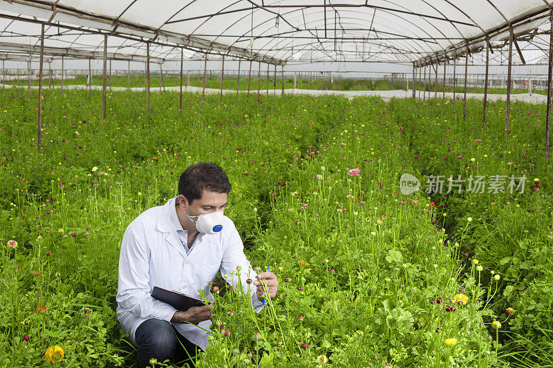 植物学家在切花温室检查记录