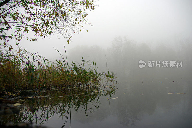 朦胧的湖景