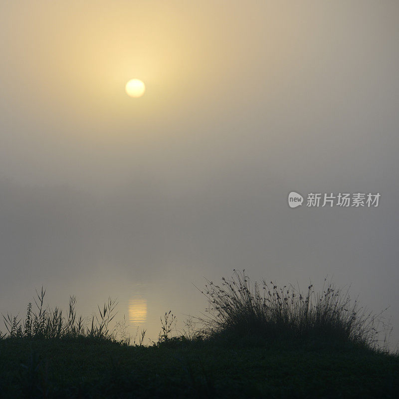 雾湖上的日出