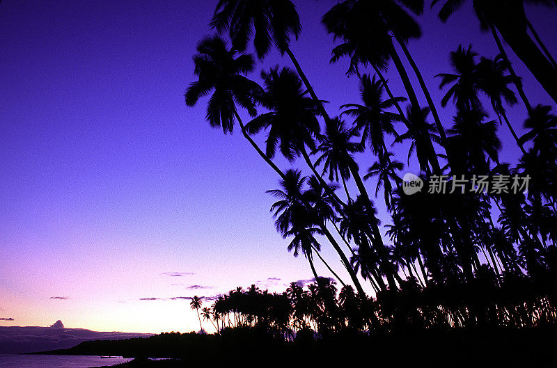 美国夏威夷莫洛凯岛，卡普亚伊瓦椰林。