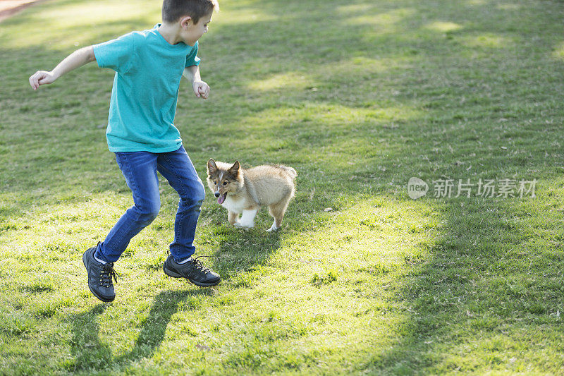 男孩在公园里和小狗玩