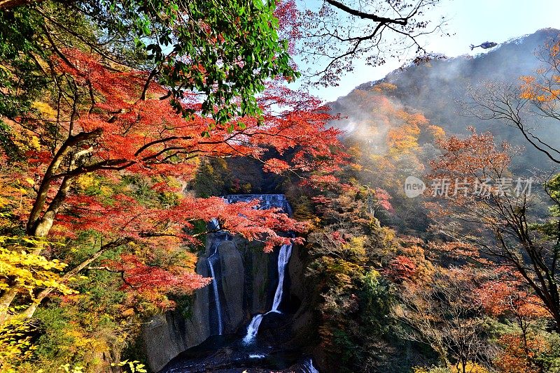 秋秋雨，大马奇，白木县