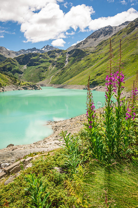 瑞士的一个湖泊，因冰川融化而呈现出令人惊叹的绿松石色