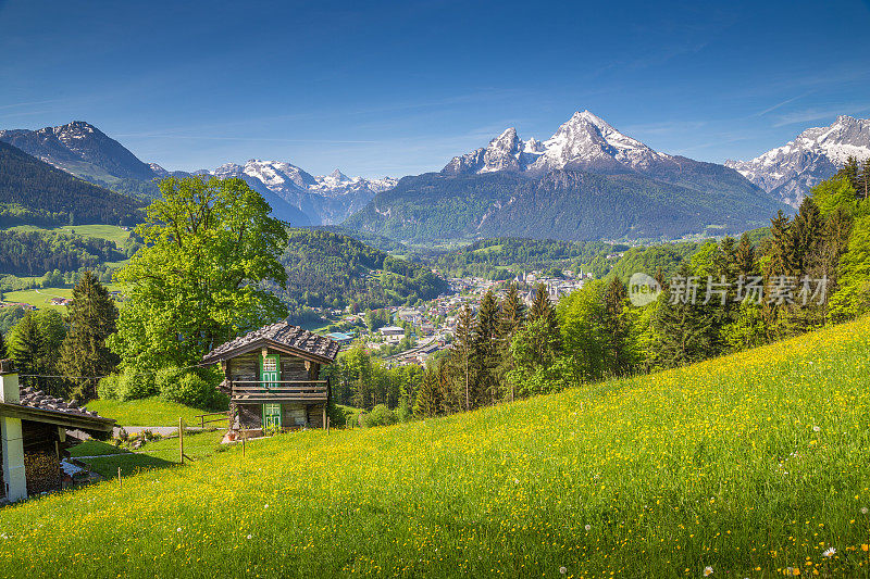 春天阿尔卑斯山的田园风光和传统的山间小屋