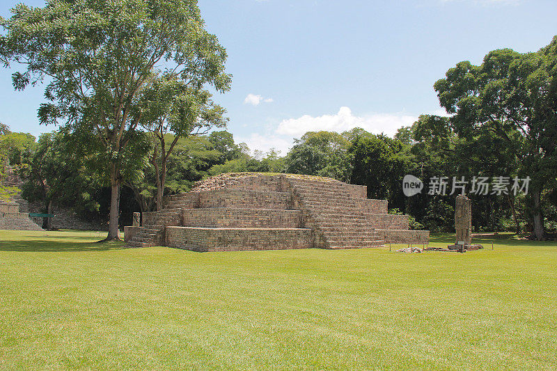 金字塔被命名为“结构4”在古代玛雅考古