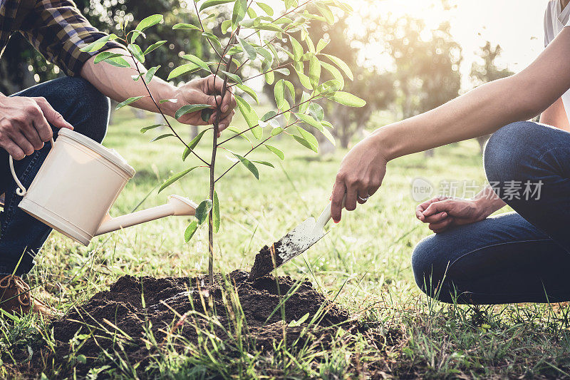 为了节约世界观念、自然、环境和生态，年轻夫妇在花园里一边种树，一边浇水