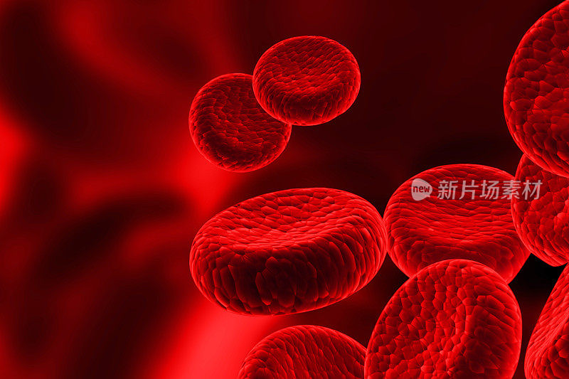 红细胞，人类血液细胞的流动