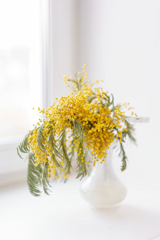 美丽的含羞草枝桠插在窗台上的玻璃花瓶里。靠窗的白色桌子上放着黄色的向阳花