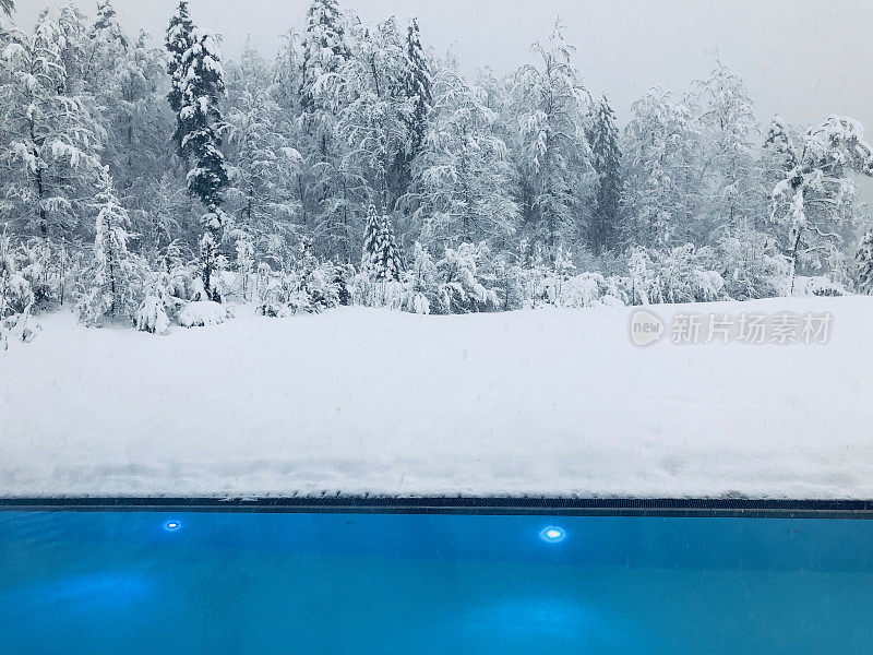 在下雪期间的森林视图-游泳池在前景