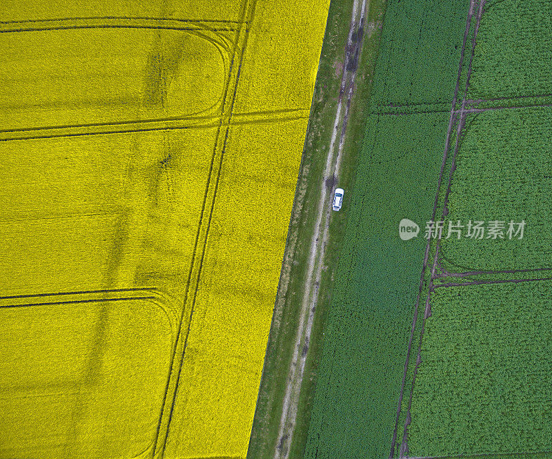 摘要航拍的耕地与一条小路，分割成黄色和绿色一半的耕地。