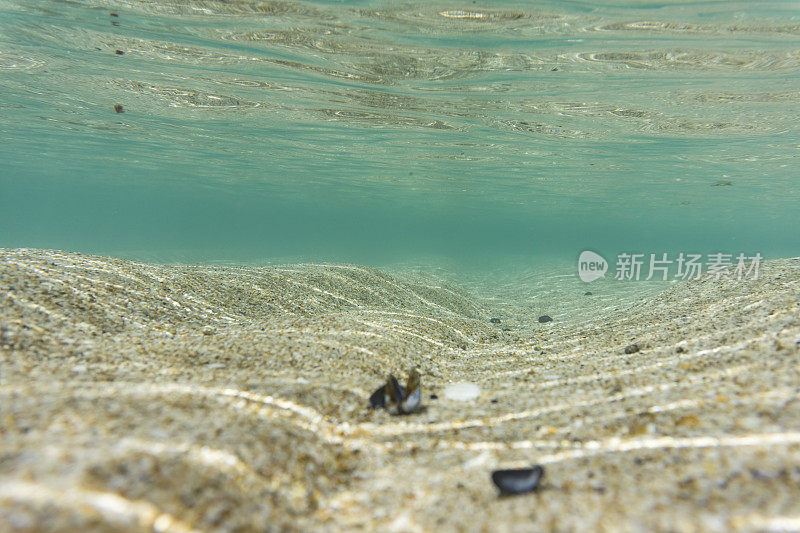 六月的一天，在康沃尔的佩德·范德海滩的水下。