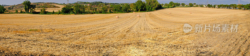 在刚刚收获的田野上干草捆的夏日全景。