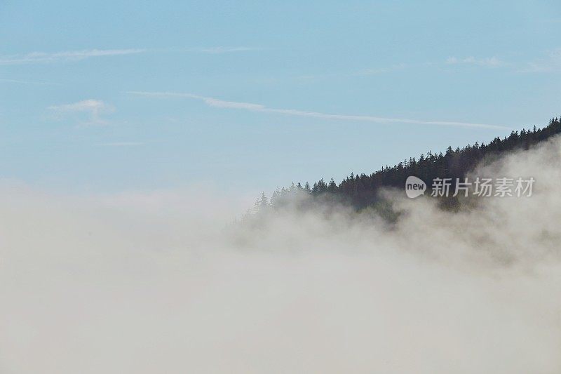 早晨的雾，山脉，飓风脊，奥林匹克国家公园，西澳