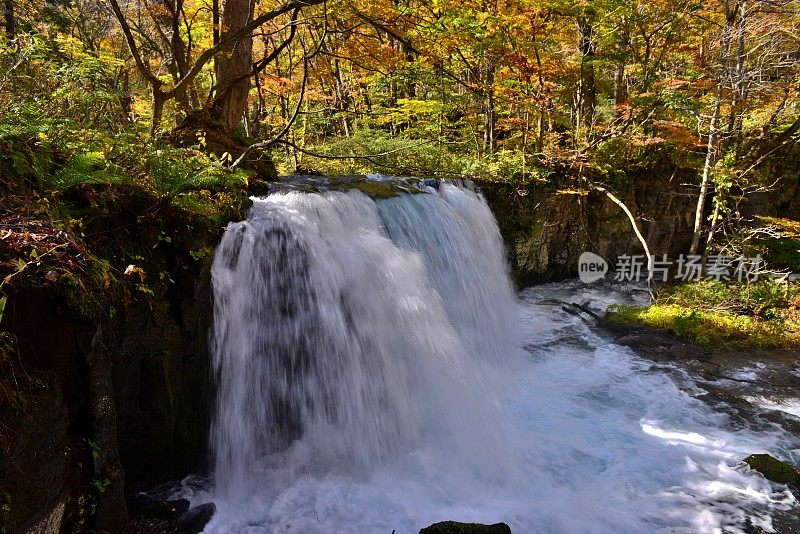 日本青森市秋天的磐濑山溪