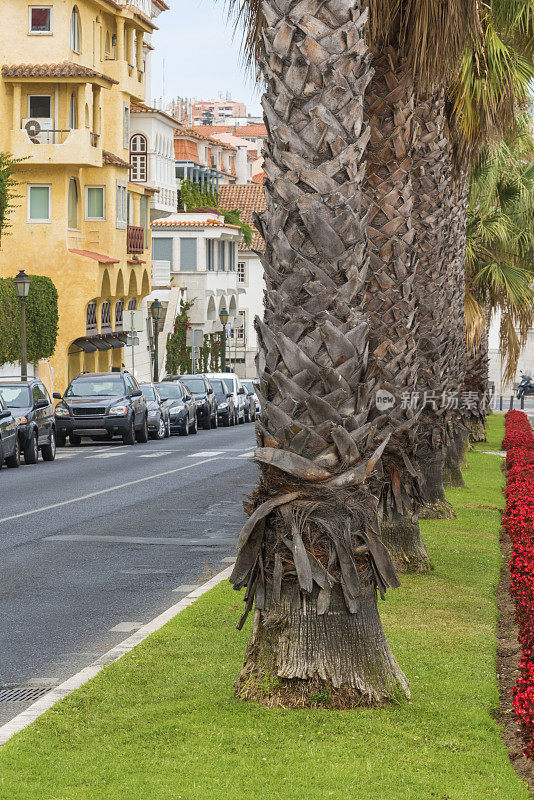 Cascais,在葡萄牙